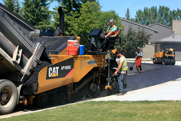 Professional Driveway Pavers in Leadville, CO